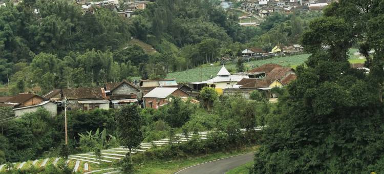 Tree Love Temanggung Hotel图片