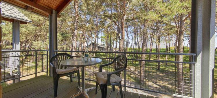 阿克马里斯斯特兰得利斯等吕根酒店(Aquamaris Strandresidenz Rügen)图片