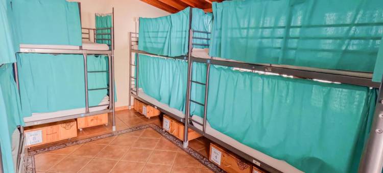 竞技场巢穴旅馆(Arena Nest Hostel)图片