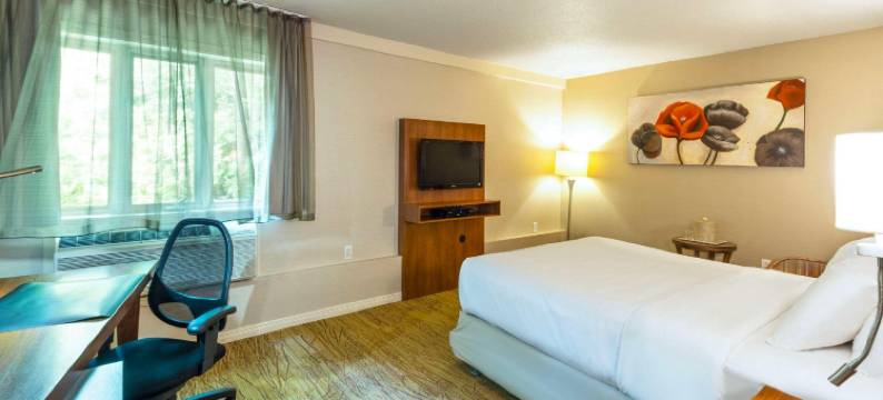 蒙洛里耶舒适酒店(Comfort Inn Mont Laurier)图片