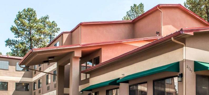 城中舒适套房酒店(Comfort Inn & Suites Midtown)图片