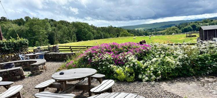 霍利布什宾馆(Hollybush Inn)图片