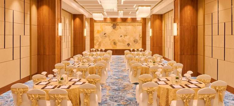 古尔冈Iris Sarovar Portico酒店(Iris Sarovar Portico Sector 85 Gurgaon)图片