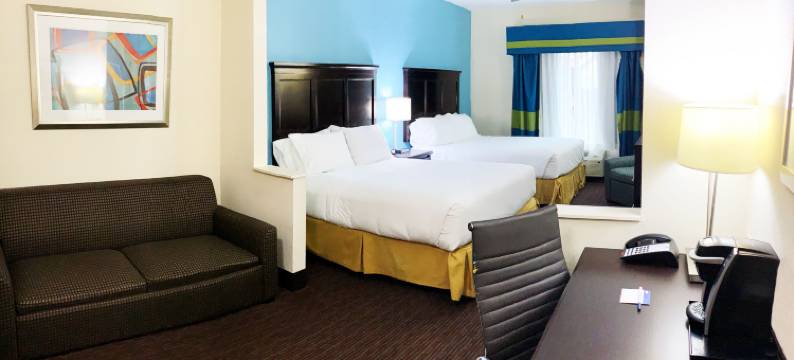 智选假日套房酒店盖恩斯维尔(Holiday Inn Express & Suites GAINESVILLE by IHG)图片