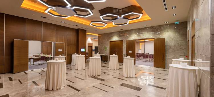 开塞利-杜文诺努假日酒店(Holiday Inn Kayseri - Duvenonu)图片