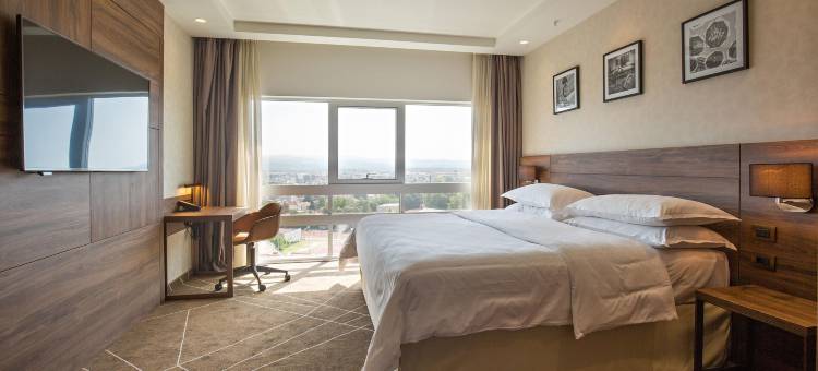 诺维萨德喜来登酒店(Sheraton Novi Sad)图片