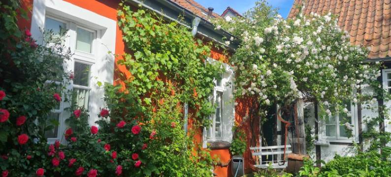 罗辛德尔小屋(Rosindell Cottage)图片