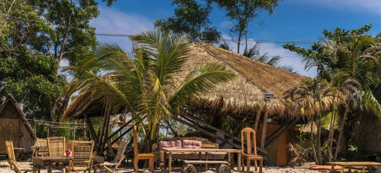 年轻狂野和自由旅馆(Young Wild and Free)图片