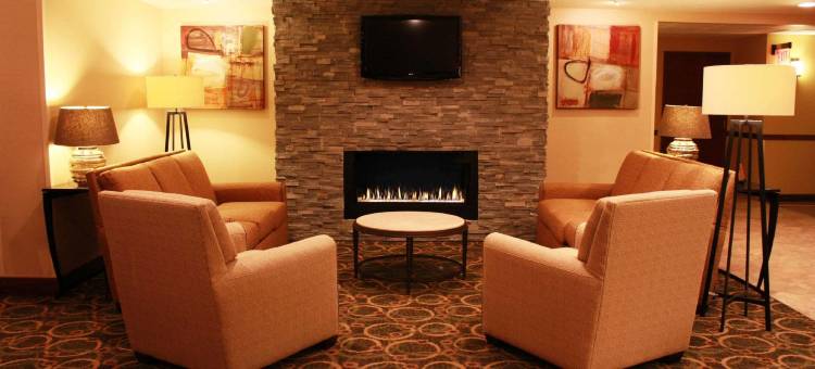 科普利阿克伦舒适套房酒店(Comfort Inn & Suites Copley Akron)图片