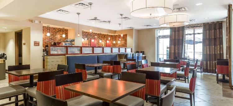 查尔斯顿西阿什利舒适套房酒店(Comfort Suites Charleston West Ashley)图片