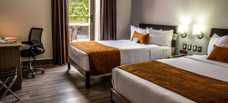 伊拉帕托舒适酒店(Comfort Inn Irapuato)图片