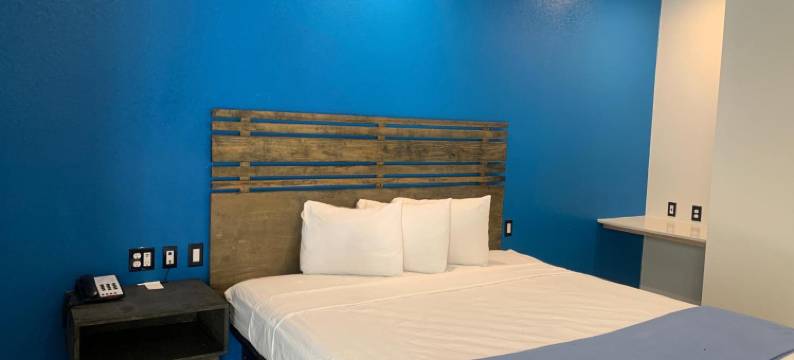 休斯顿格林斯波恩特签名酒店(Signature Inn Houston Greenspoint)图片