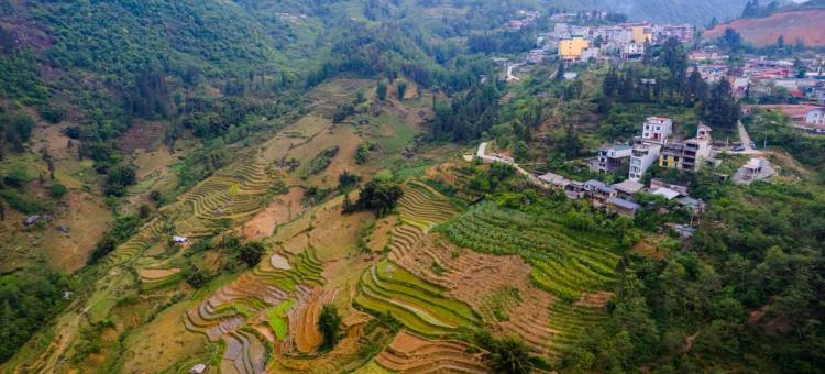 林克农家乐(The Link farmstay)图片