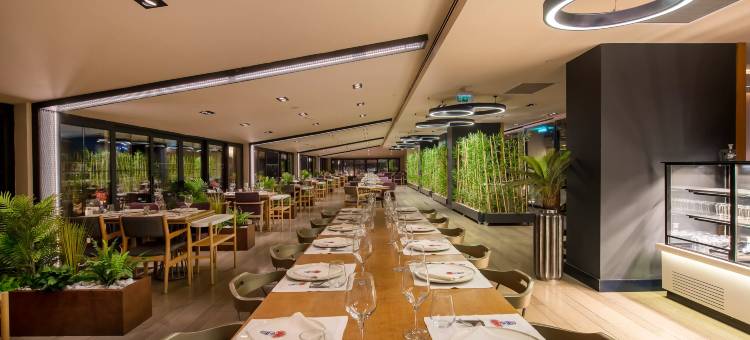 开塞利-杜文诺努假日酒店(Holiday Inn Kayseri - Duvenonu)图片