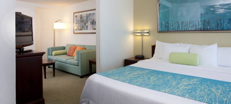 洛杉矶国际机场/曼哈顿海滩万豪SpringHill酒店(SpringHill Suites Los Angeles LAX/Manhattan Beach)图片