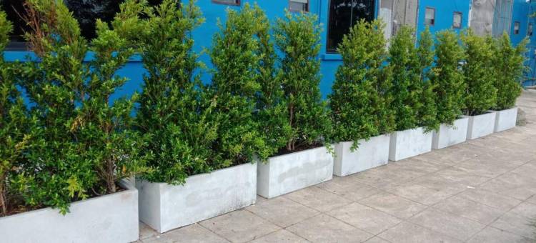 柴风大厦(Chai Style Mansion)图片