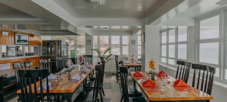 马尔克·范内利奥斯洛布(The Marc Vannelli Oslob)图片