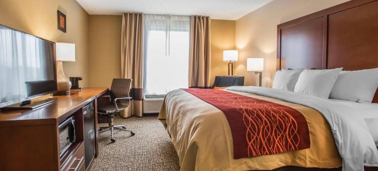 舒适酒店-81号州际公路和宾州收费公路(Comfort Inn PA Turnpike - I-81)图片