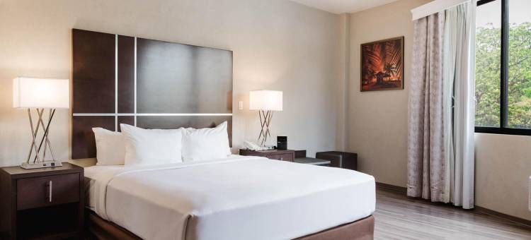 托巴哥的舒适酒店客房和套房(Comfort Inn & Suites Tobago)图片