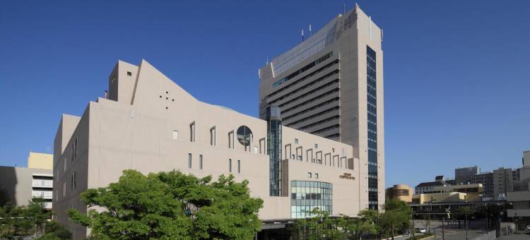 神户西神东方饭店(Kobe Seishin Oriental Hotel)图片