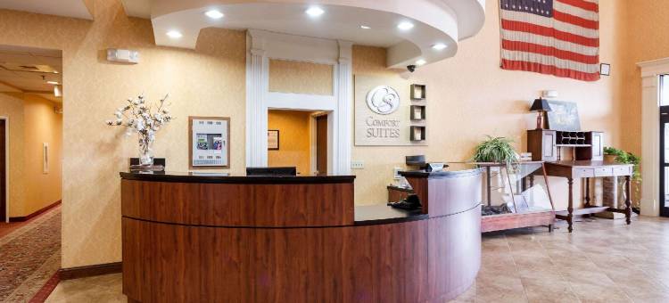 西孟斐斯I-40 I-55舒适套房酒店(Comfort Suites West Memphis I-40 I-55)图片