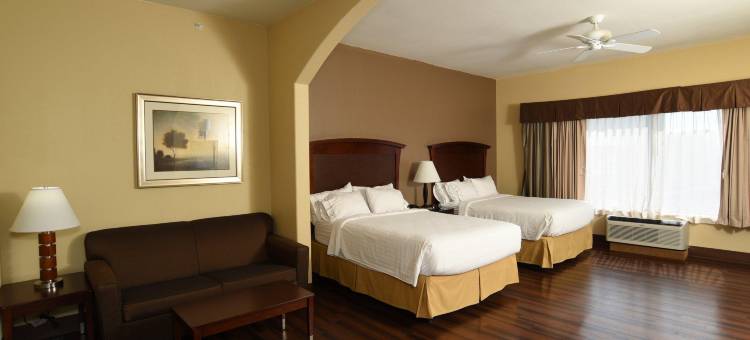 智选假日套房酒店塞金(Holiday Inn Express & Suites Seguin)图片