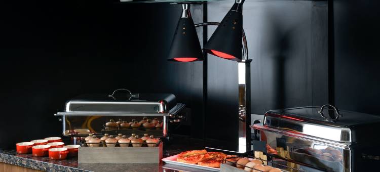 AC酒店-圣朱利安昂热讷瓦(AC Hotel Saint-Julien-en-Genevois)图片