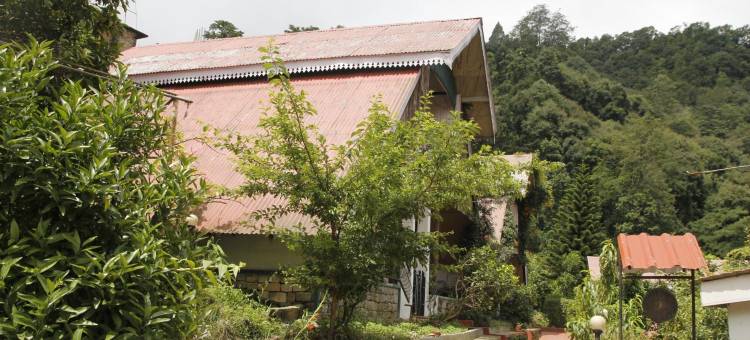 Mandarin Resort - Kaluk图片