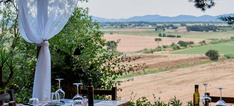 托斯卡纳农庄桑椹山丘(Agriturismo Rascioni & Cecconello)图片