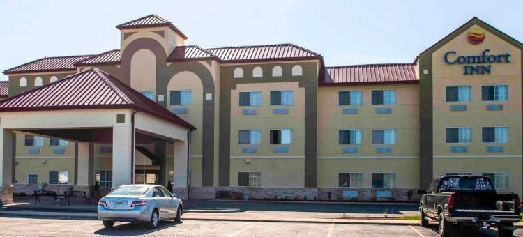 舒适酒店(Comfort Inn)图片