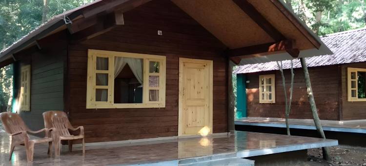 阿内贾里蝴蝶营-丛林度假酒店(Aanejari Butterfly Camp-Junglelodges)图片