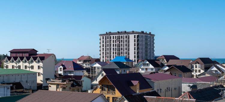雅兰斯酒店(Ekodom Yanais Hotel)图片