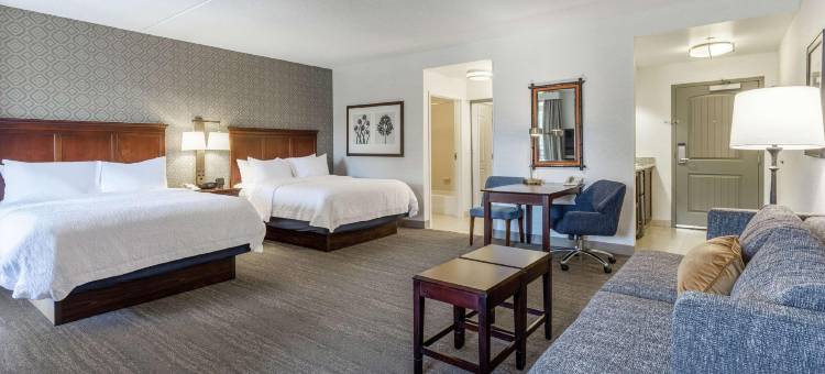 萨拉托加泉市中心欢朋套房酒店(Hampton Inn & Suites Saratoga Springs Downtown)图片