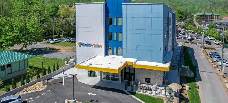 舒适酒店套房(Comfort Suites Gatlinburg Downtown-Convention Center)图片