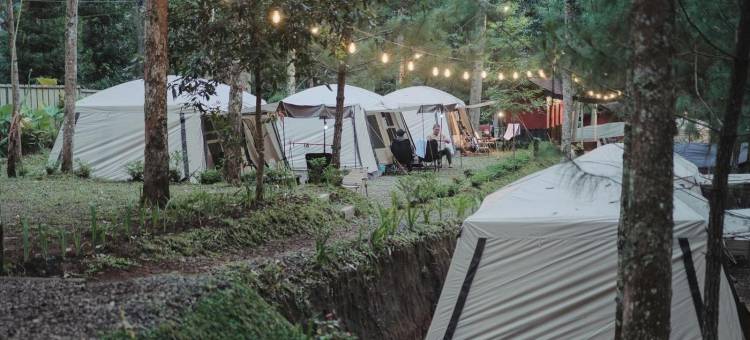 Pakis Camping Cikole图片