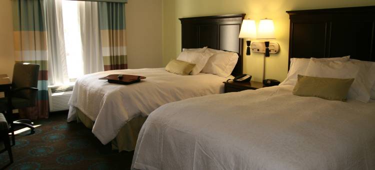 怀尔德欢朋套房酒店(Hampton Inn & Suites Wilder)图片