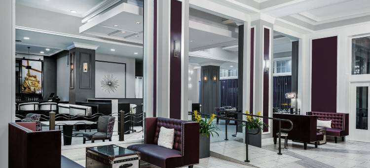 Hotel Indigo 达拉斯市中心(Hotel Indigo DALLAS DOWNTOWN by IHG)图片
