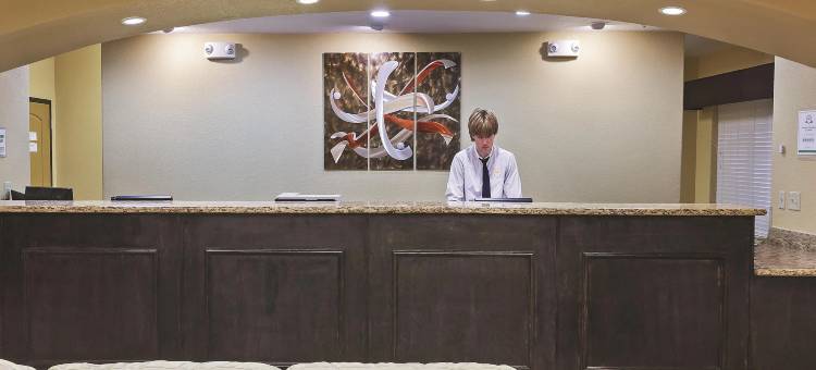 瑟西拉昆塔温德姆套房酒店(La Quinta Inn & Suites by Wyndham Searcy)图片