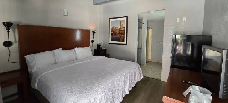 圣何塞机场速 8 酒店(Super 8 by Wyndham San Jose Airport)图片