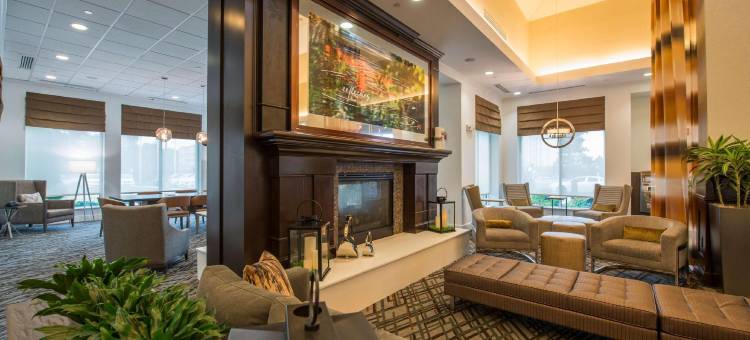 希尔顿花园酒店-亚特兰大机场北(Hilton Garden Inn Atlanta Airport North)图片