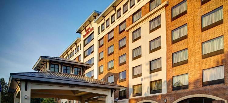 罗利达勒姆三角研究园希尔顿花园酒店(Hilton Garden Inn Raleigh-Durham/Research Triangle Park)图片