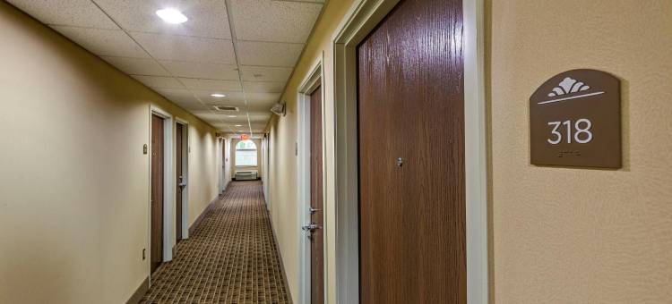 北坎顿麦客达套房酒店(Microtel Inn & Suites by Wyndham North Canton)图片