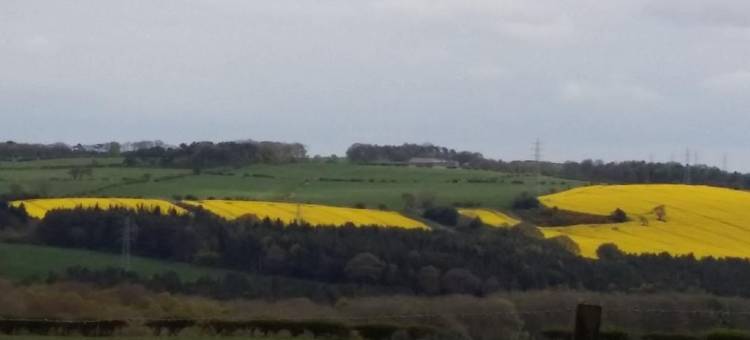 船锚旅馆(The Anchor Inn)图片