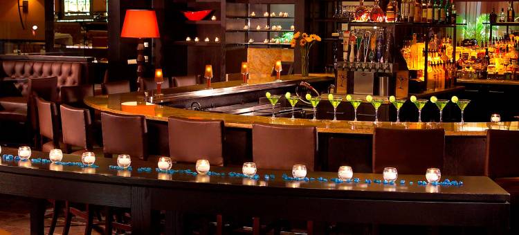 亚特兰大威佛利万丽酒店和会议中心(Renaissance Atlanta Waverly Hotel & Convention Center)图片