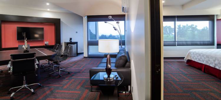 Holiday Inn 墨西哥城大理机场(Holiday Inn Mexico Dali Airport)图片