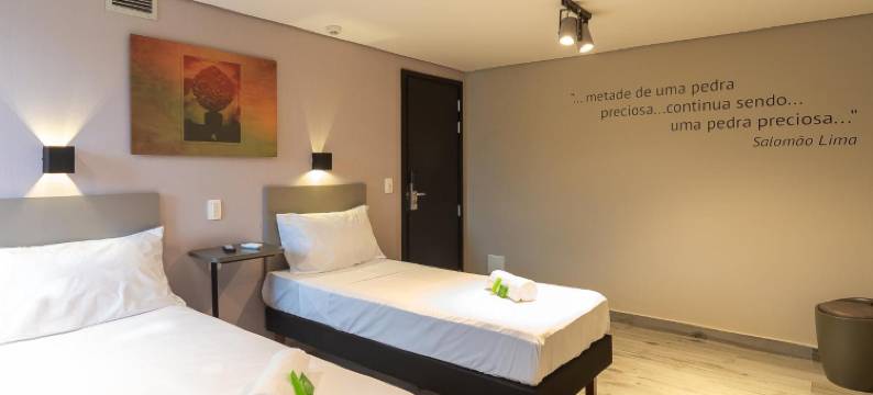 宜必思尚品伊塔乌纳酒店(Ibis Styles Itauna)图片