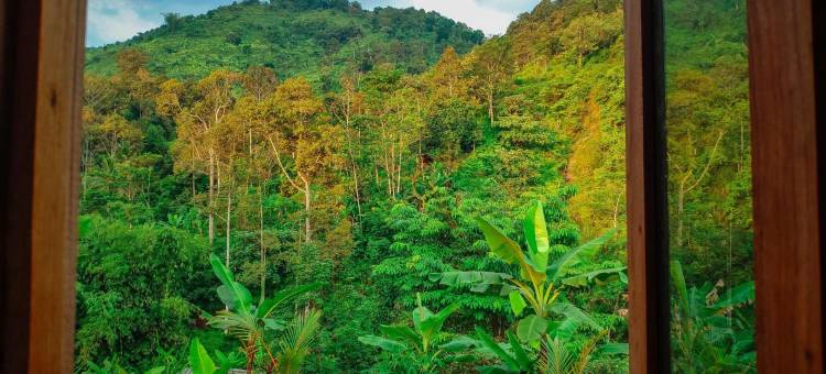 曼南格尔农场住宿(Farmstay Manangel)图片
