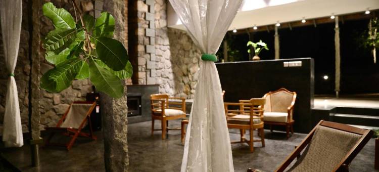 香料树Rajakumari(SpiceTree Rajakumari)图片