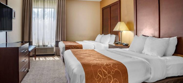 哈黑格斯敦东南的舒适套房酒店(Comfort Suites)图片