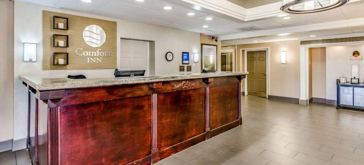 舒适套房酒店(Comfort Inn & Suites)图片